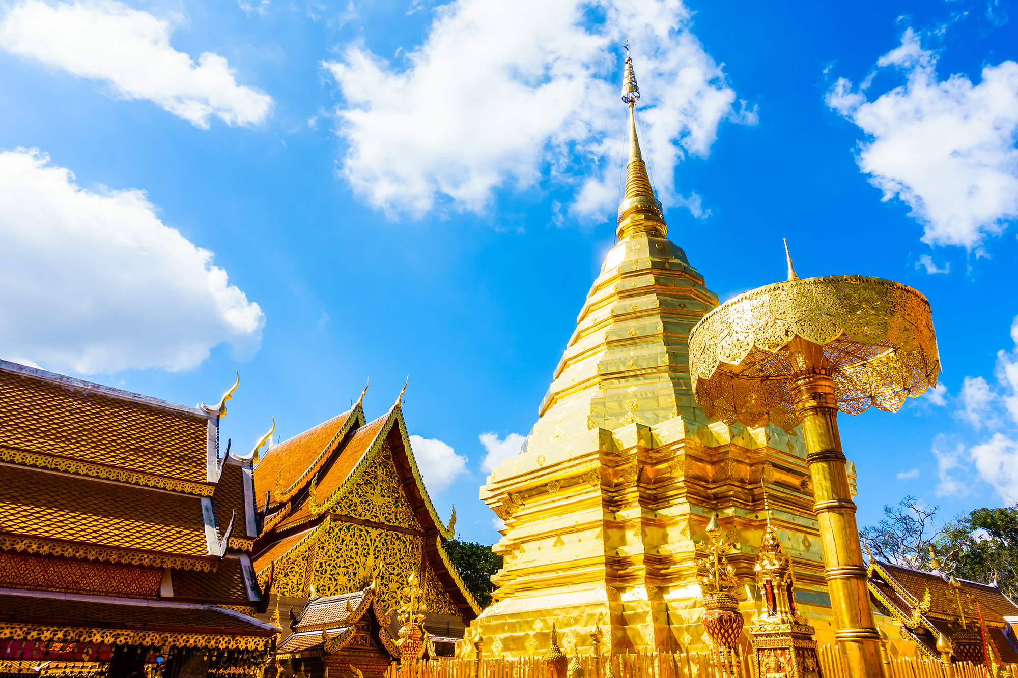 เชียงใหม่: วัดพระธาตุดอยสุเทพ และบ้านม้ง